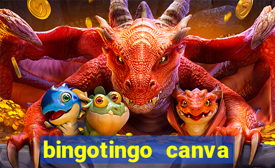 bingotingo canva pro gratis